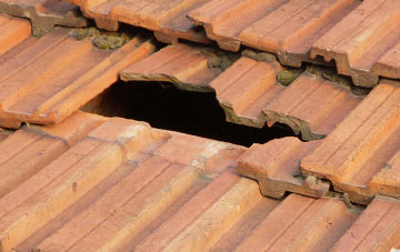 roof repair Tarbet
