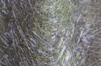 Tarbet fibreglass roof work